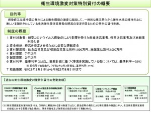 ★チラシ(コロナ　衛生環境激変対策特別貸付)のサムネイル