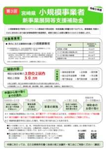 06_【チラシ】（両面）_R5年度新事業展開等支援事業のサムネイル